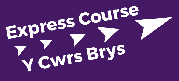 Y Cwrs Brys