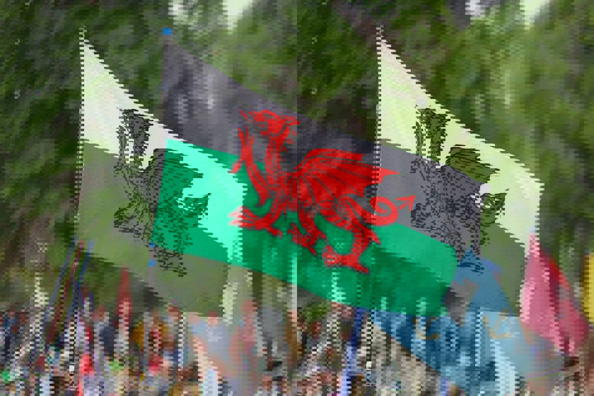 Iaith Pobl Ifanc – galw am eiriau