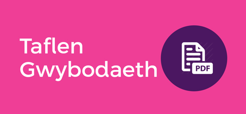 Taflen Gwybodaeth